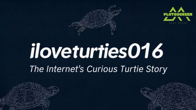 iloveturtles016 The Internet’s Curious Turtle Story