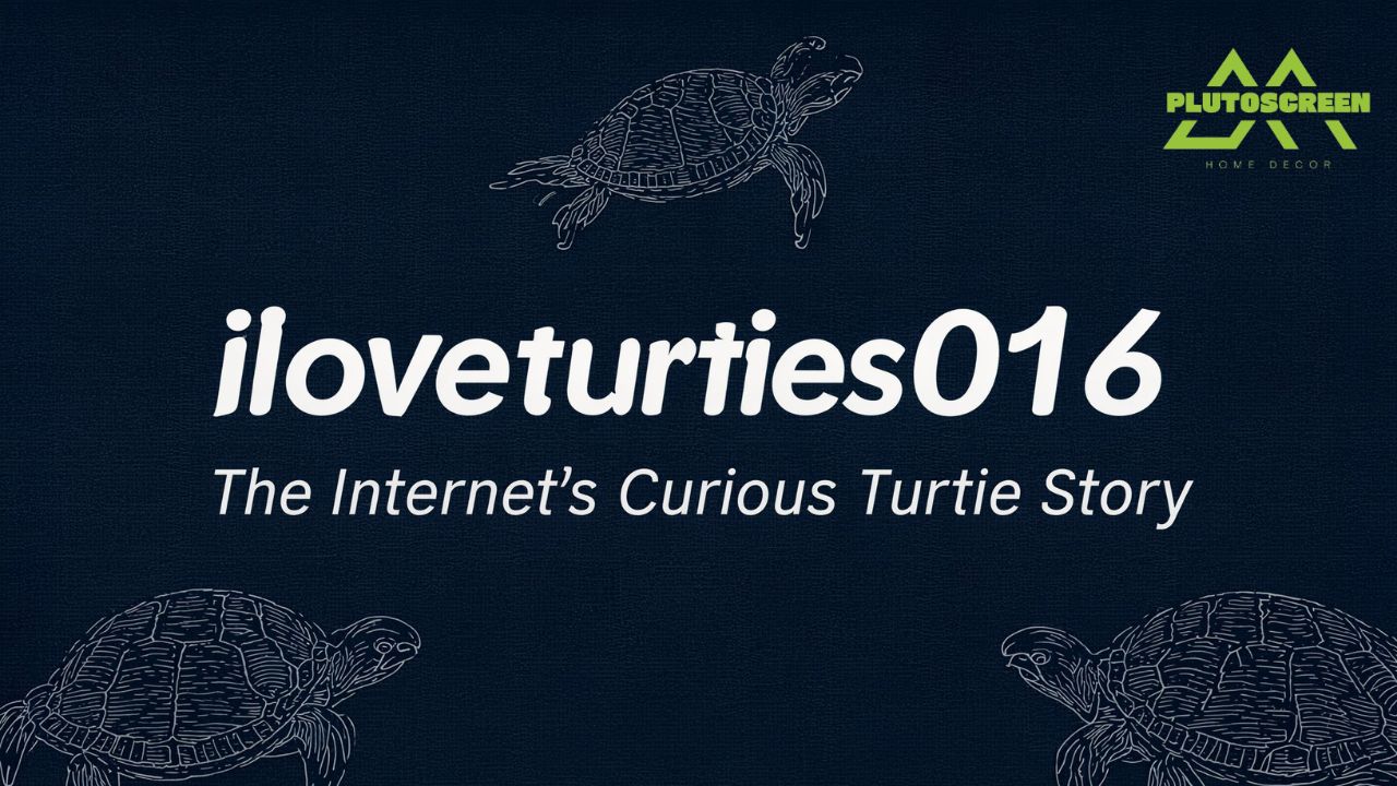 iloveturtles016 The Internet’s Curious Turtle Story